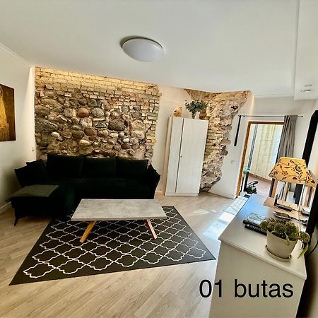 Six Apartment Simona Vilnius Buitenkant foto